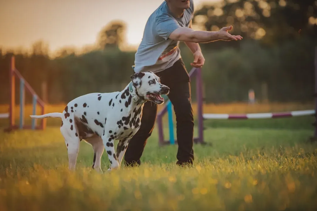 2. Forcing Unwanted Physical Contact And Ignoring Their Signals (Image Credits: Unsplash)