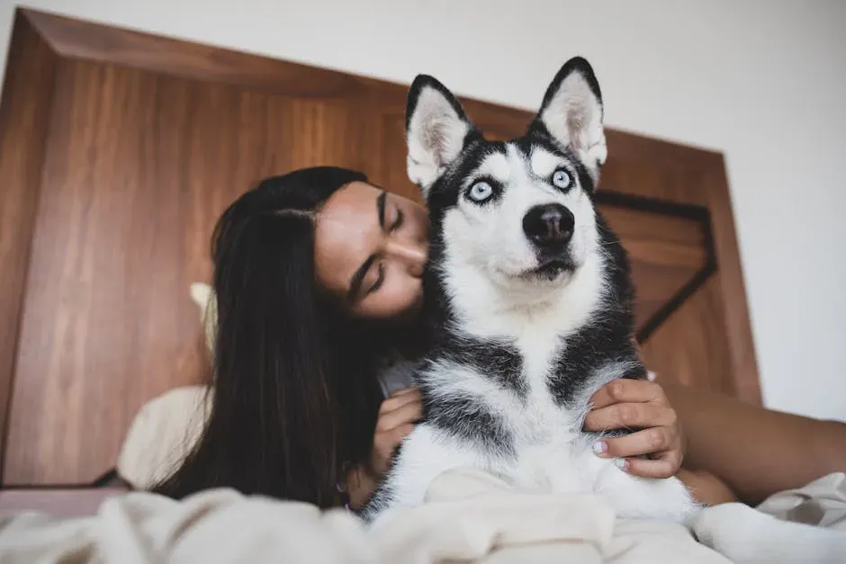 Cancer Seeks Emotional Security a Husky Rarely Offers (Image Credits: Pexels)