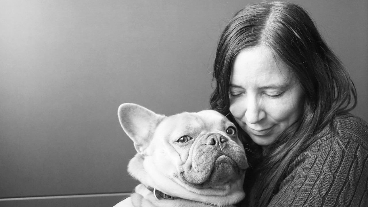 The Broken Trust Factor: When Your Dog Stops Looking at You (Image Credits: Pixabay)