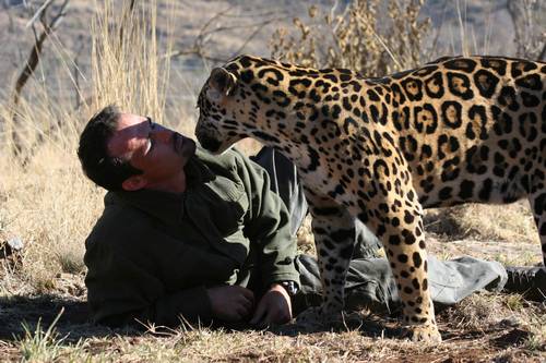 The Neurodivergent Advantage in Animal Communication (Image Credits: Wikimedia)