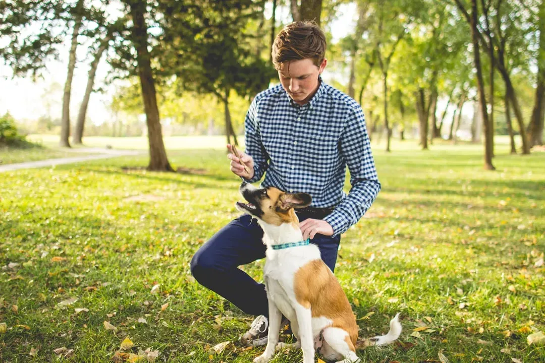 6. You Only React to “Bad” Behavior and Miss Their Good Moments (Image Credits: Unsplash)