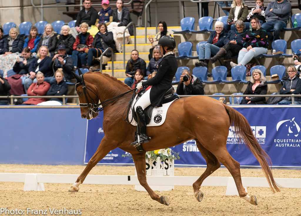 Perfectionist Virgo Harmonizes with Methodical Hanoverians (Image Credits: Flickr)