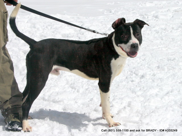 Aquarius: The Independent Innovator (January 20 - February 18) (Image Credits: Flickr)