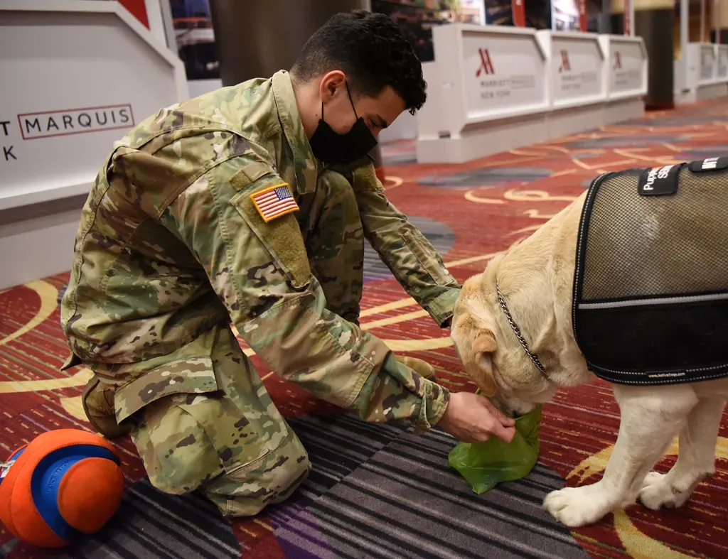 How Close Do Dogs Really Get to PCR-Level Accuracy? (The National Guard, Flickr, CC BY 2.0)