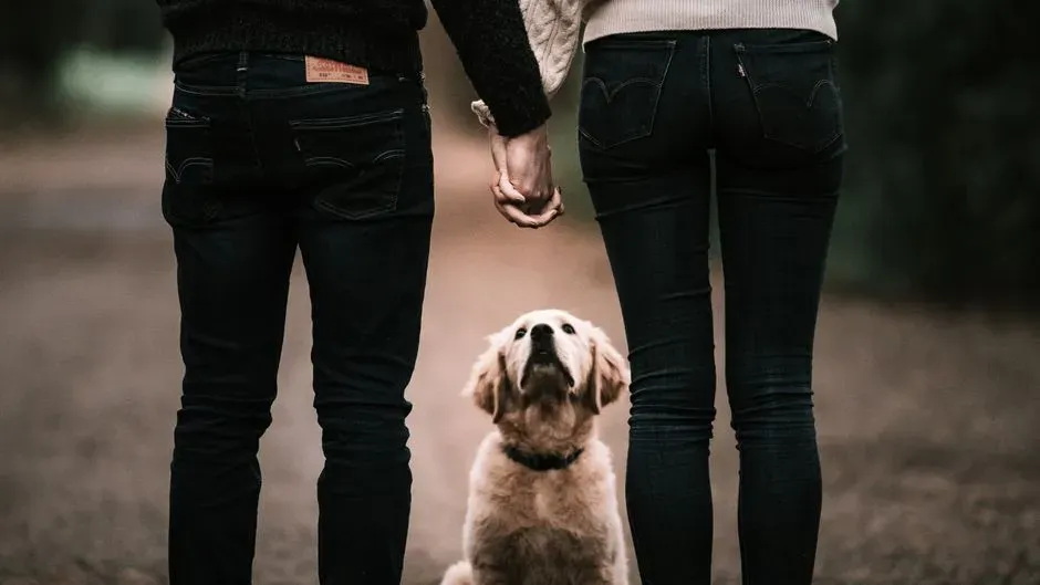 Deliberate Interruptions in Action (Image Credits: Pexels)
