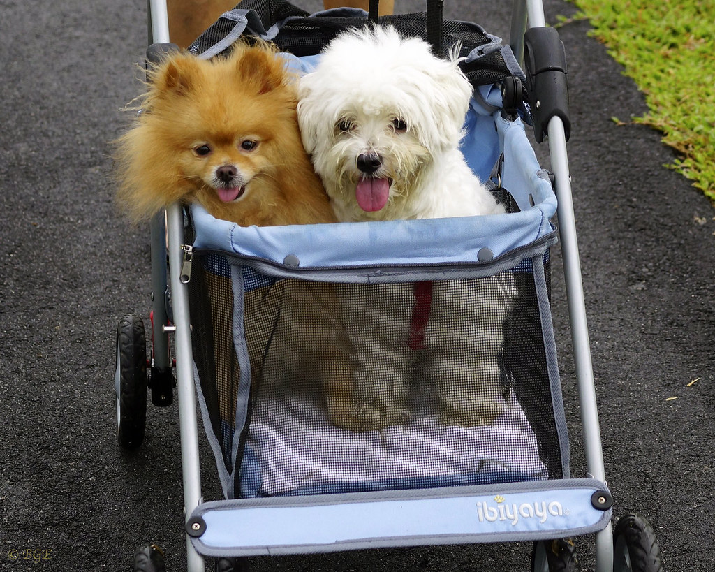 Conclusion - Embracing Elemental Wisdom (Image Credits: Flickr)