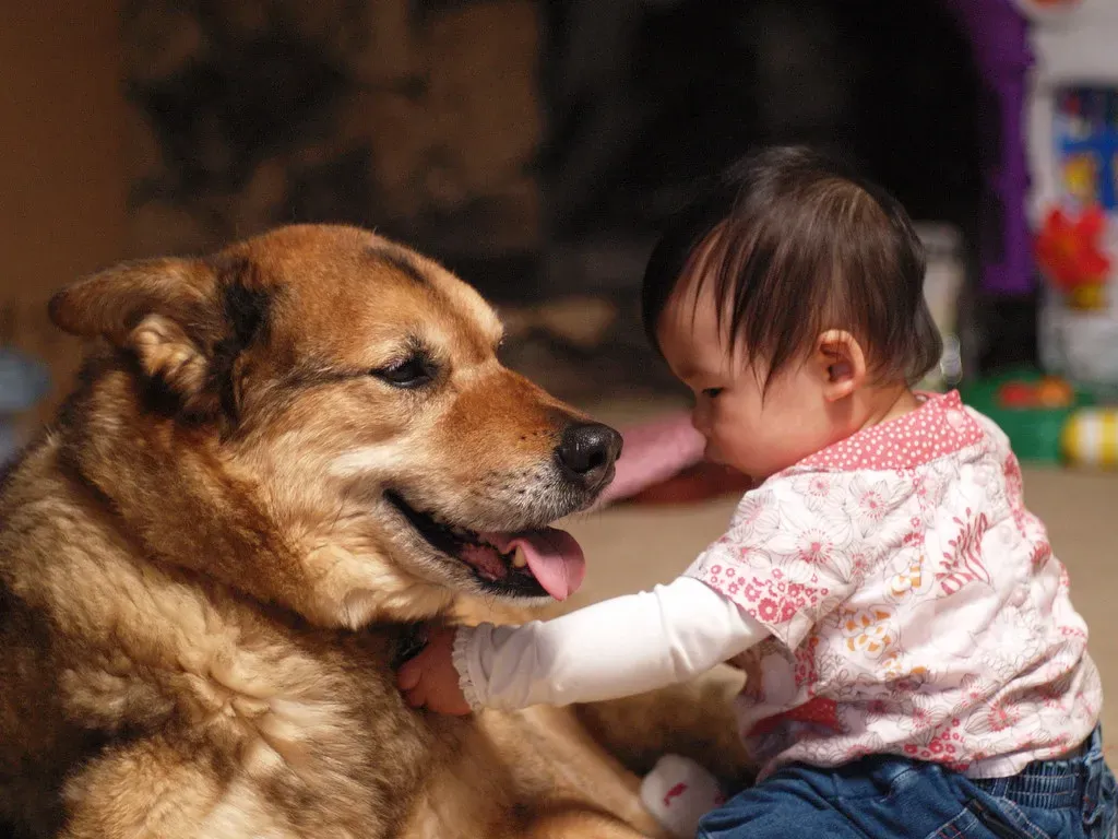 #15: “Perfect Harmony” Is No Longer The Only Acceptable Story (mliu92, Flickr, CC BY-SA 2.0)