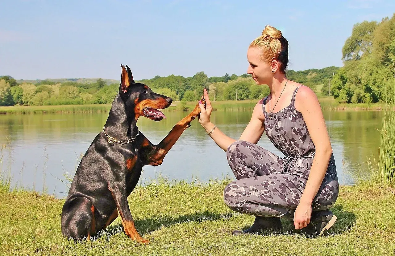 14. Doberman Pinscher: The Misunderstood Softie in a Tough Exterior (Image Credits: Pixabay)