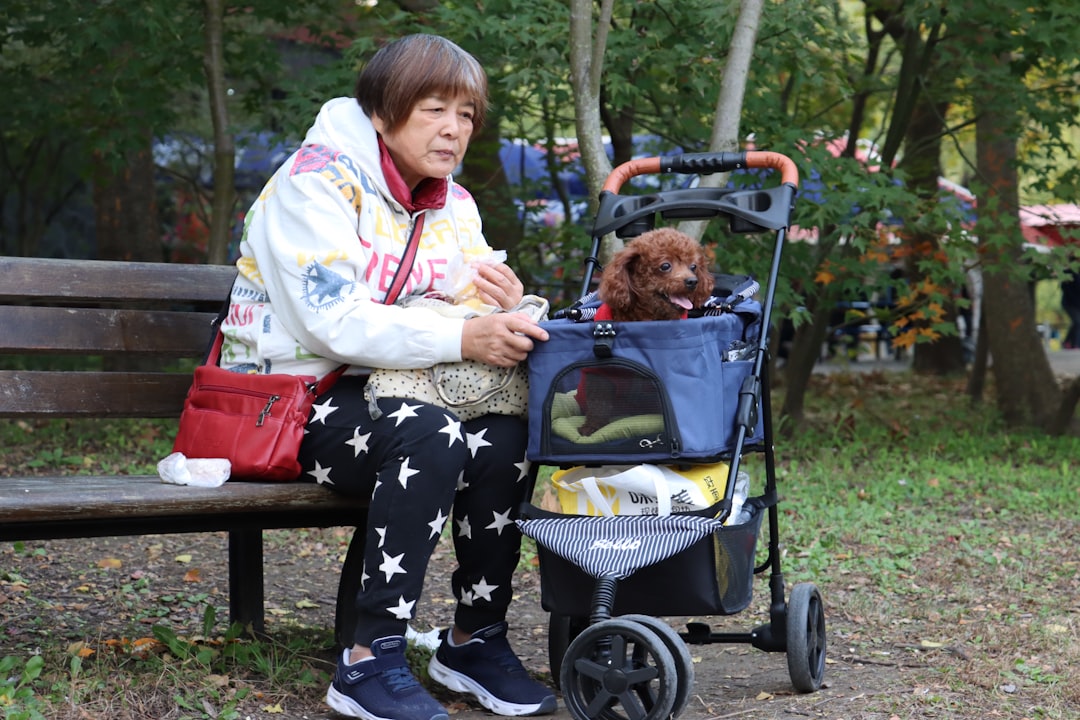 Gemini Seniors and Their Social Butterfly Dogs (Image Credits: Unsplash)