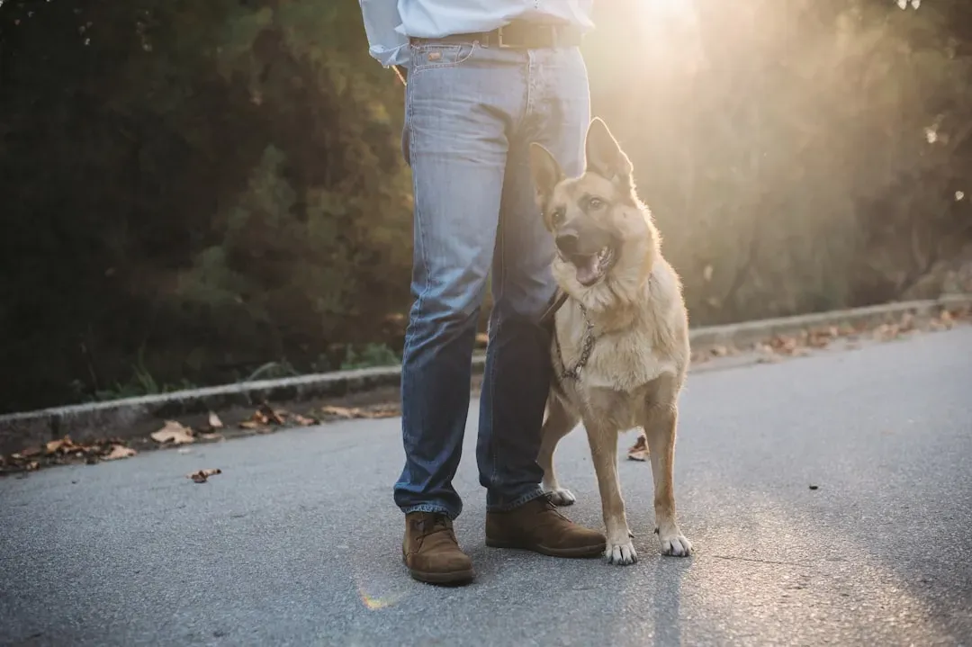 The Real Reason Your Dog Leans: A Mirror Of Your Relationship (Image Credits: Unsplash)