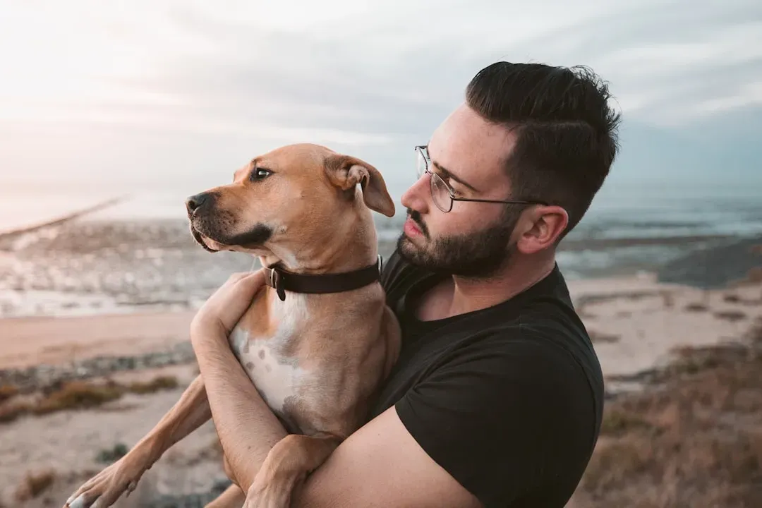 Why Your Dog Actually Needs You to Lead (Image Credits: Unsplash)