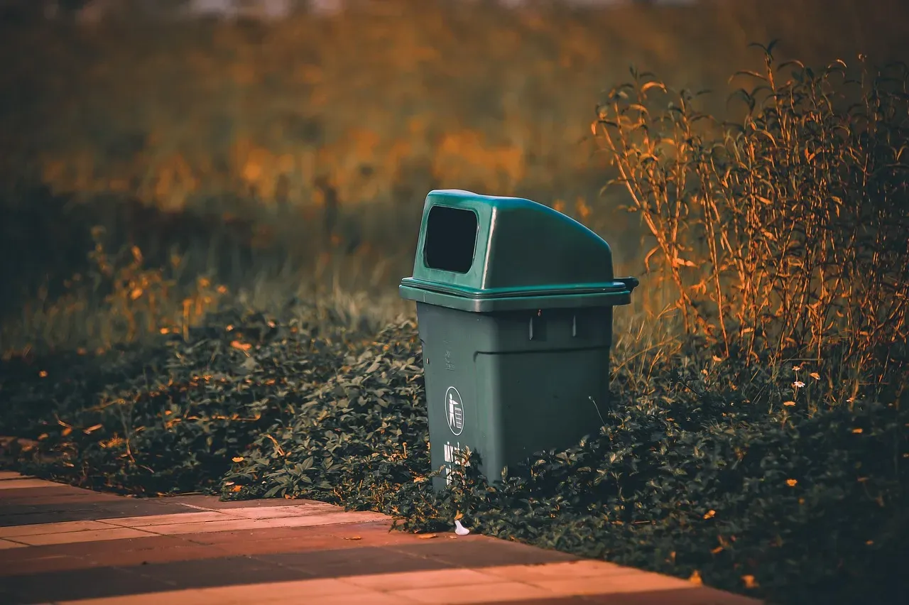 Secure Those Tempting Trash Cans and Food Storage (Image Credits: Pixabay)