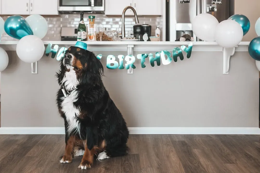 Bernese Mountain Dog: Fluffy, Loving, and Space-Needing (Image Credits: Unsplash)