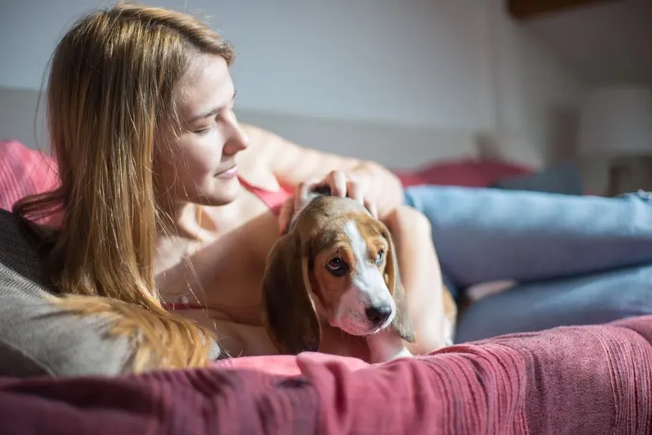 When Your Stress Becomes Their Stress: The Science of Shared Cortisol (Image Credits: Pexels)