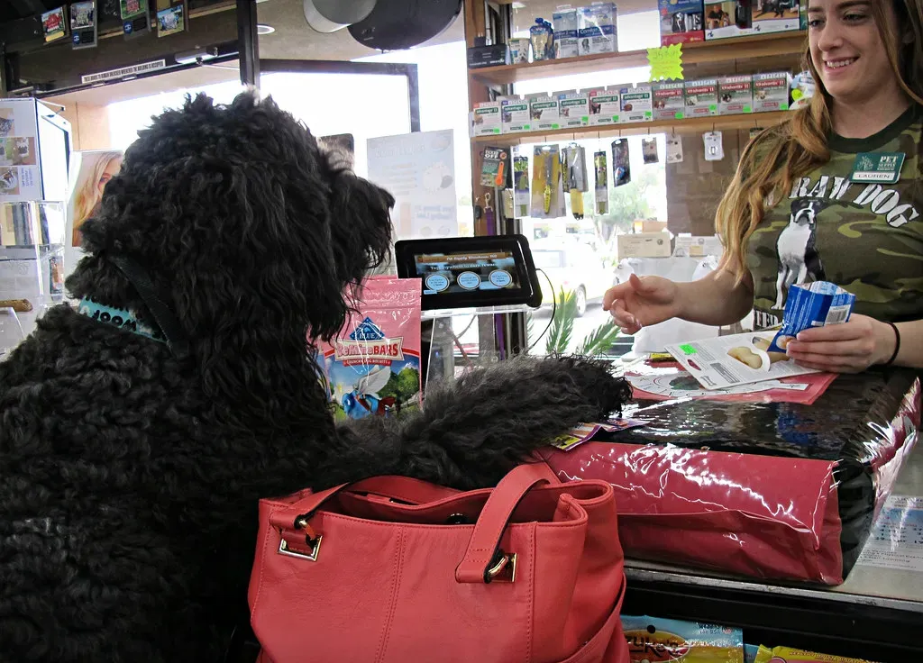 Salmon and Oily Fish: Omega-Rich Wonders (Image Credits: Flickr)