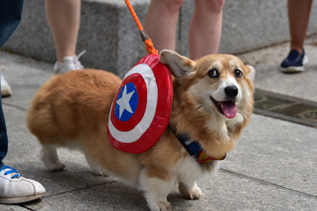 Bringing Your Avenger Home (Image Credits: Flickr)