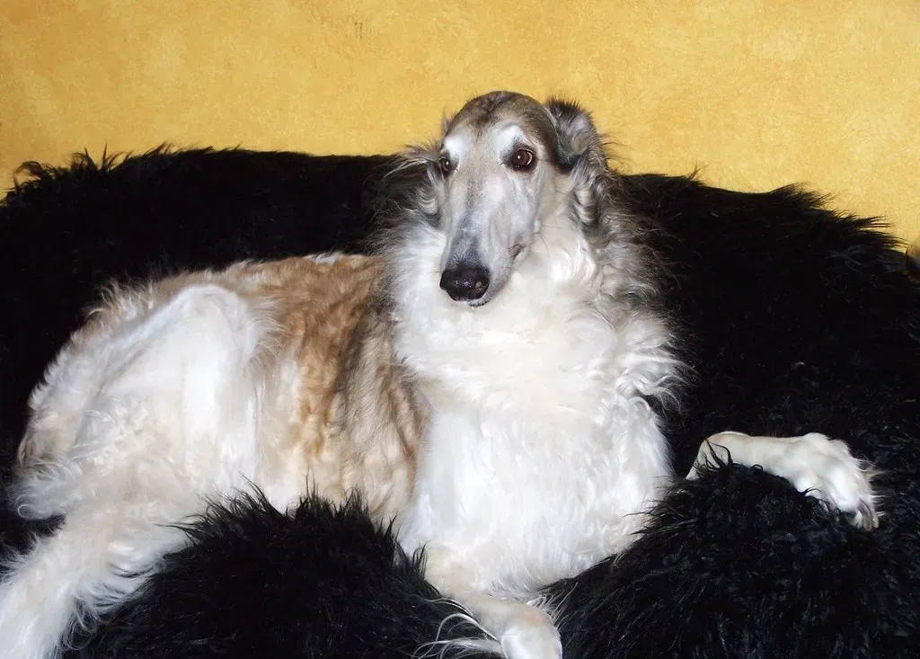 Conclusion (Image Credits: Flickr)