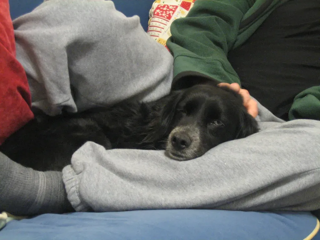 Conclusion (Image Credits: Flickr)