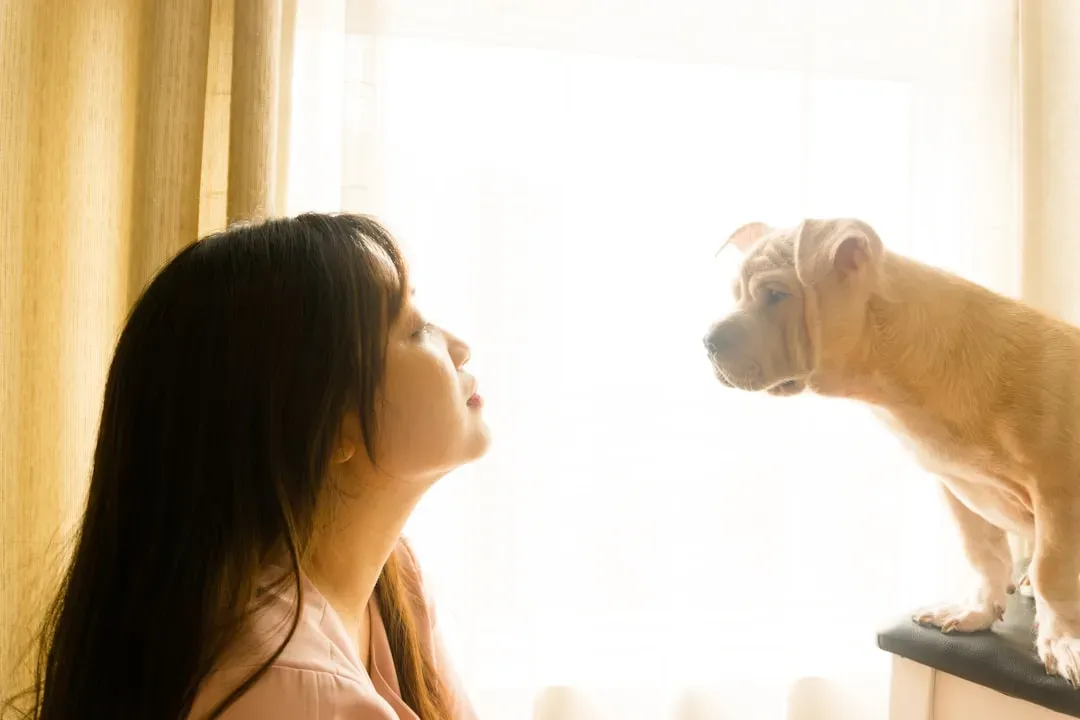 A Final Thought for Every Dog Parent Reading This (Image Credits: Unsplash)