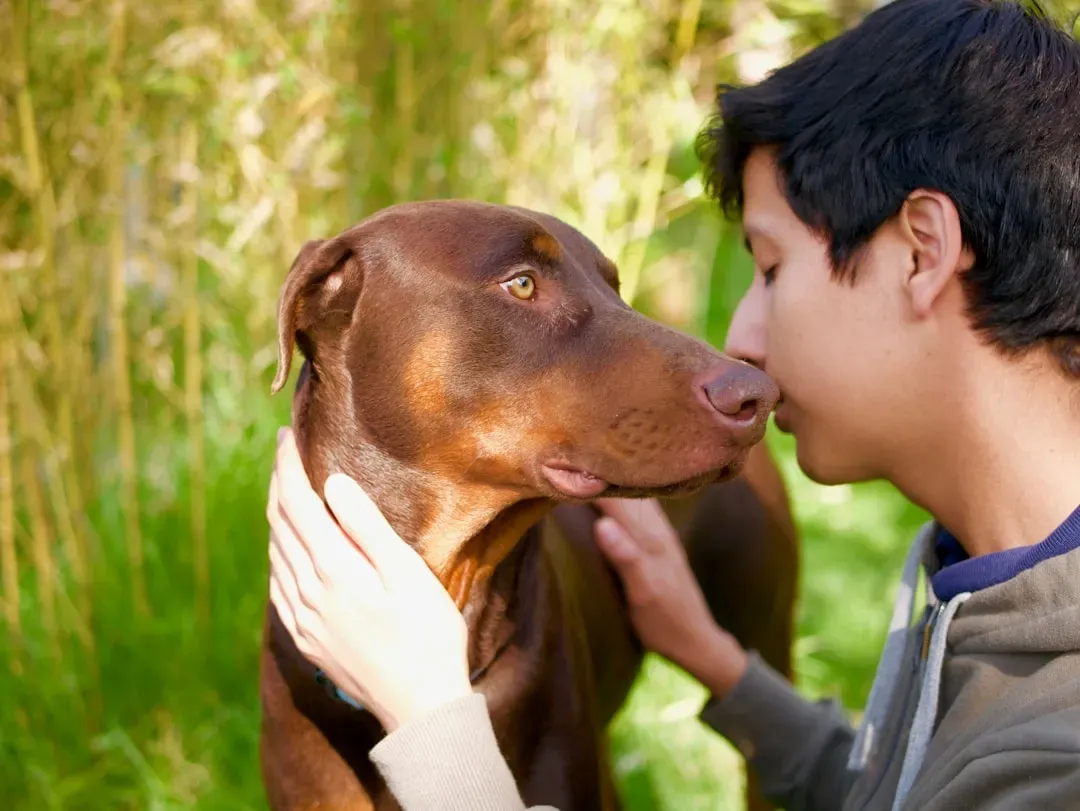 The Nose Knows: Your Dog Is Literally Smelling Your Feelings (Image Credits: Unsplash)