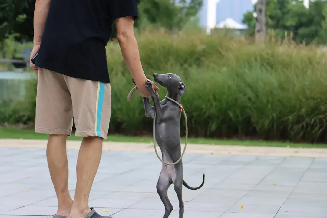 Finding Balance: Aligning Your Stars with Their Needs (Image Credits: Unsplash)