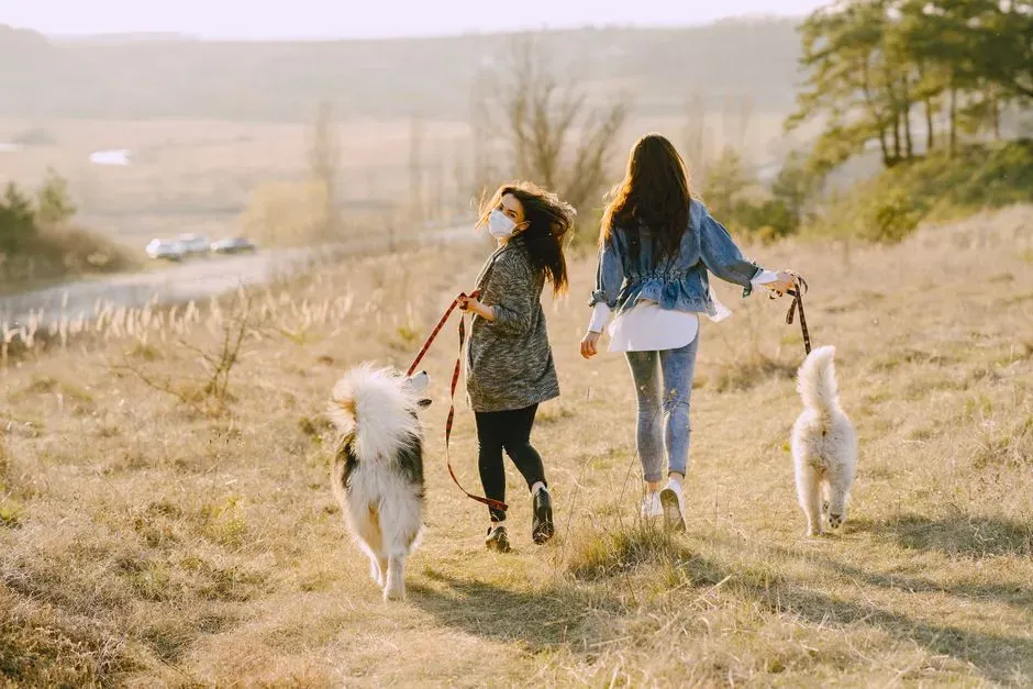 Comfortable Distance: How Secure Dogs Use Space Differently (Image Credits: Pexels)