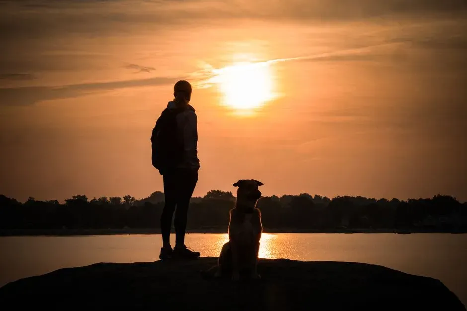 #1 - The Exact Moment the Night "Breaks" (Image Credits: Pexels)