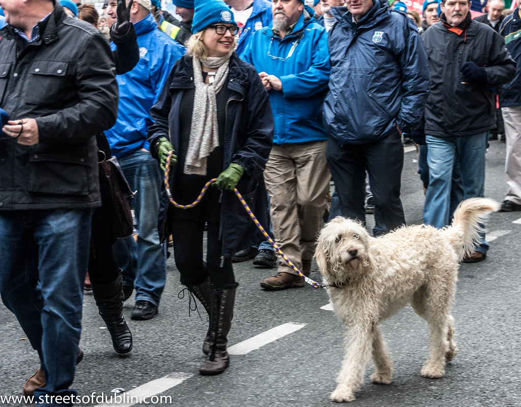 Aquarius Harmony: The Independent Spirit (Image Credits: Flickr)