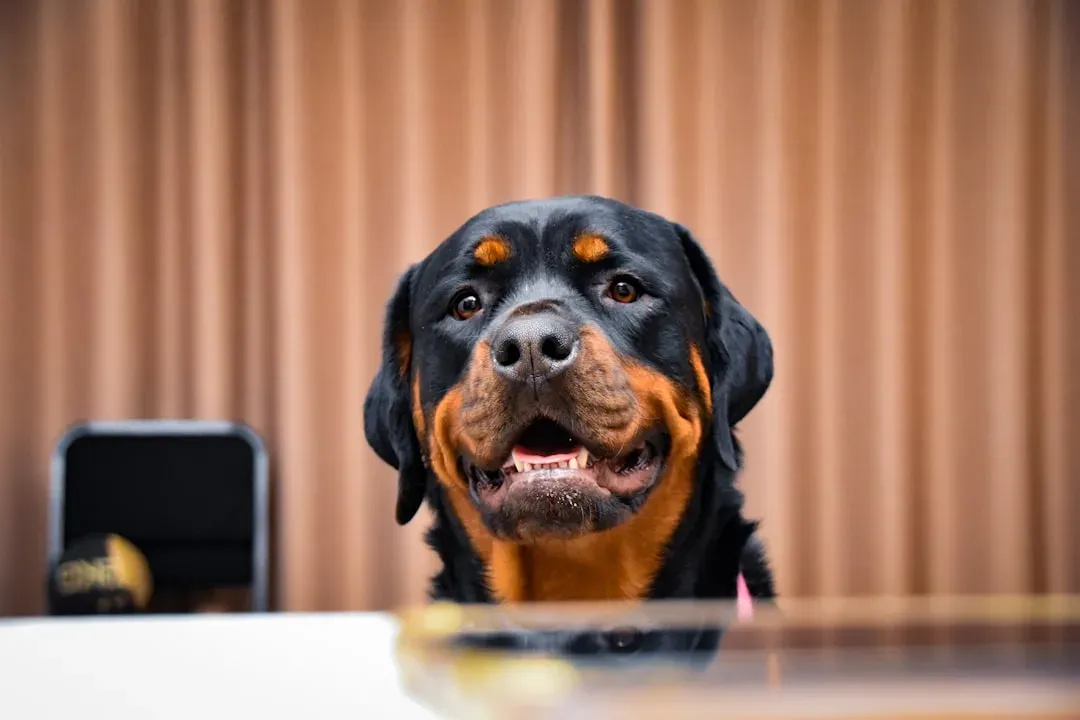 What Experiments Have Actually Shown So Far (Image Credits: Unsplash)