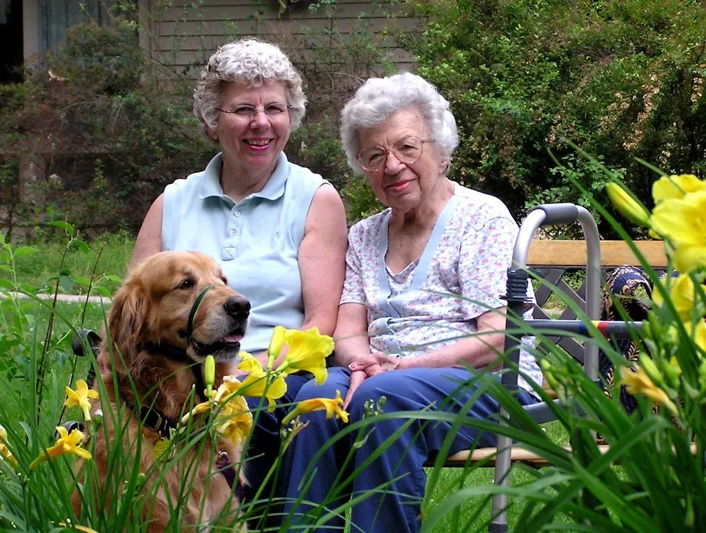 1. Golden Retriever: The Gold Standard of Comfort (Image Credits: Flickr)