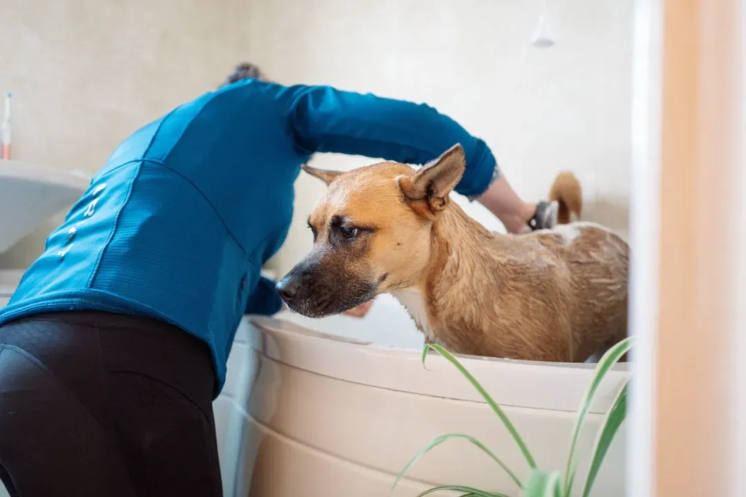 #2 - The Way You React When They Make a Mess (Image Credits: Unsplash)