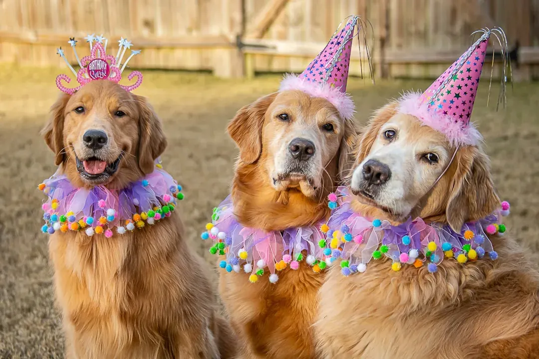 Leo: The Proud Parent Who Turns Outings Into Celebrations (Image Credits: Unsplash)