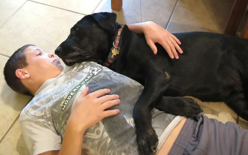 Can You Teach a Dog to Love Cuddling? (Image Credits: Flickr)