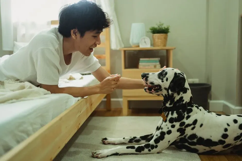 They’re Anticipating Your Next Move (Especially if Mornings Mean Food or Fun) (Image Credits: Pexels)