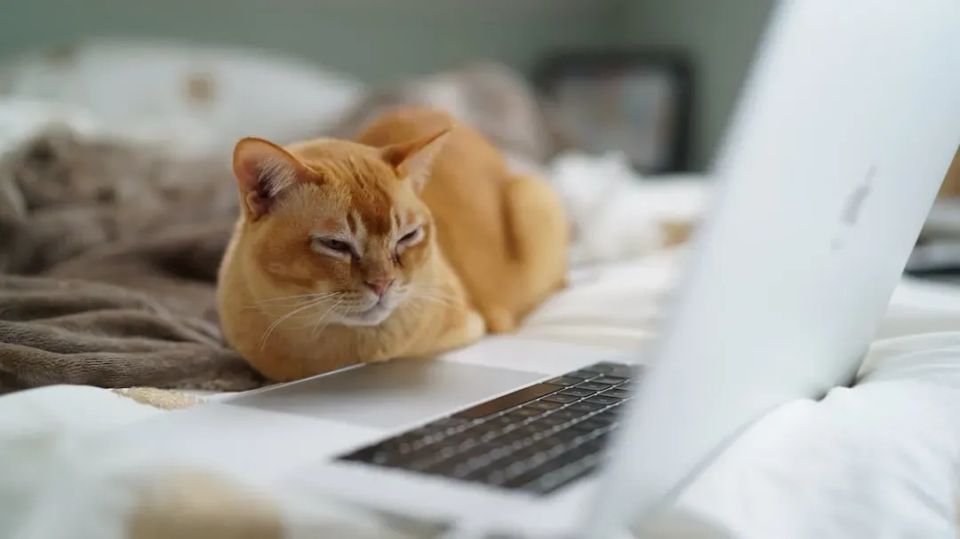 9. What You Prioritize: Work, Screens, Sleep, Or Them (Image Credits: Unsplash)