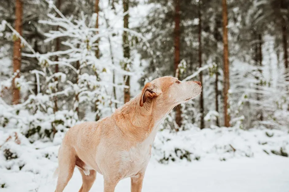 9. Body Freezing or Going Completely Rigid (Image Credits: Pexels)