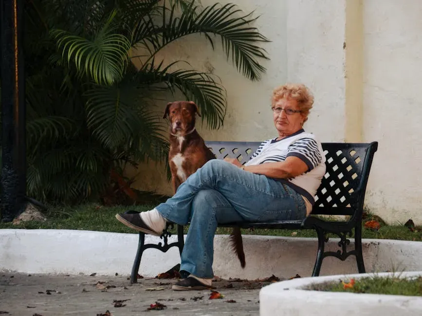 The Surprising Case for Adopting a Senior Dog (Image Credits: Pexels)