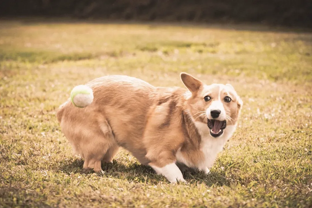 #8 - A Side-to-Side Sway in the Hips (Image Credits: Unsplash)