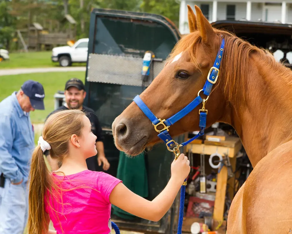 Communication and Seeking Connection (Image Credits: Flickr)