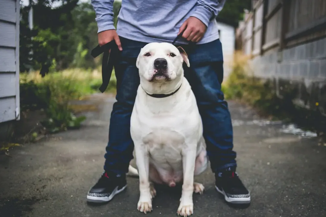 Aries: The Energetic Adventurer (Image Credits: Unsplash)
