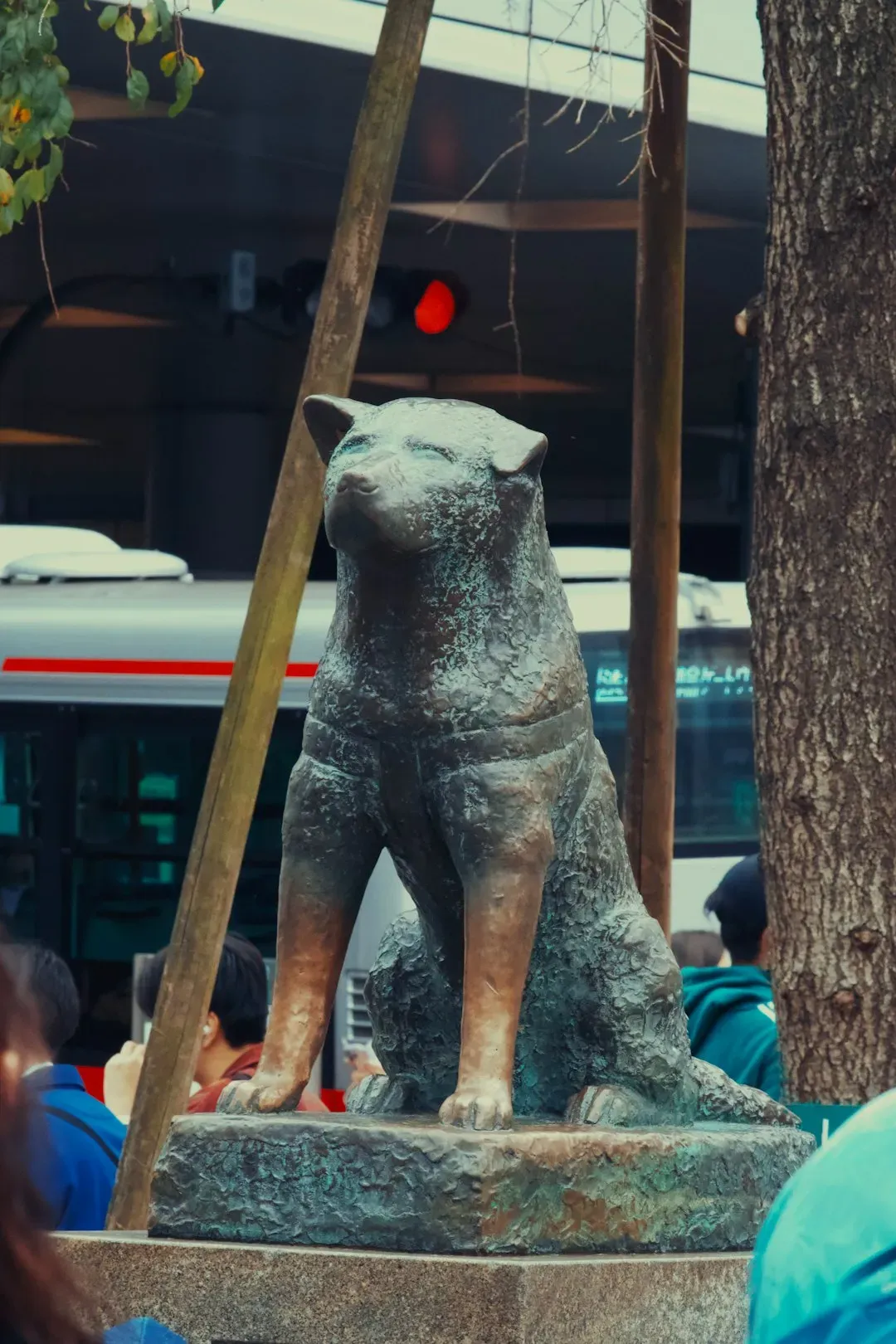 #1: The Akita - Japan's Eternal Faithful (Image Credits: Unsplash)