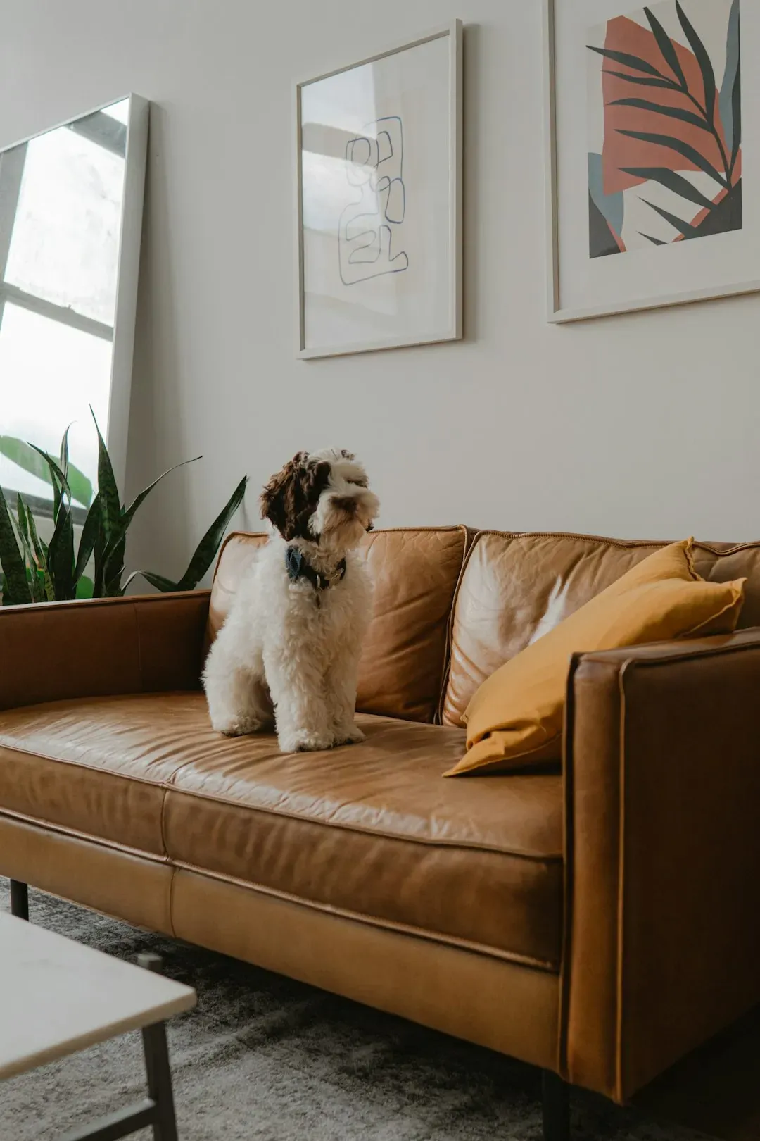 #7 The Real Level of Household Organization (Not the Instagram Version) (Image Credits: Unsplash)