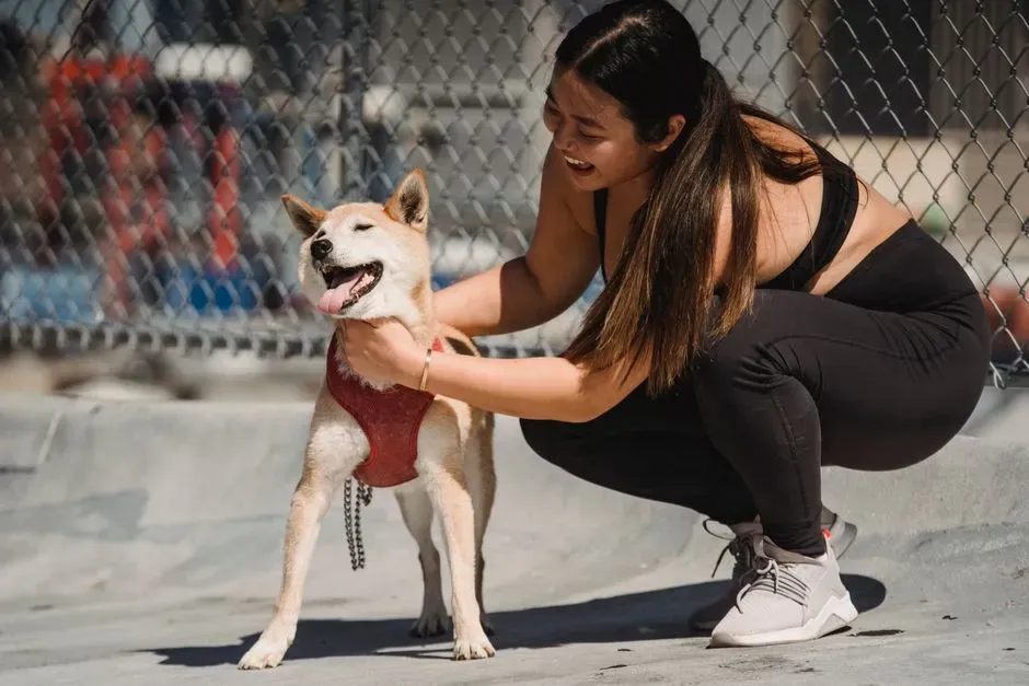 #10 - The Feel of the Harness, Crate, or Seatbelt Used (Image Credits: Pexels)