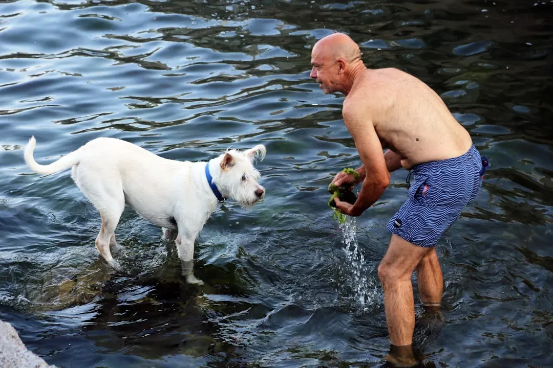 Conclusion: Every Dog Has Their Own Relationship with Water (Image Credits: Unsplash)