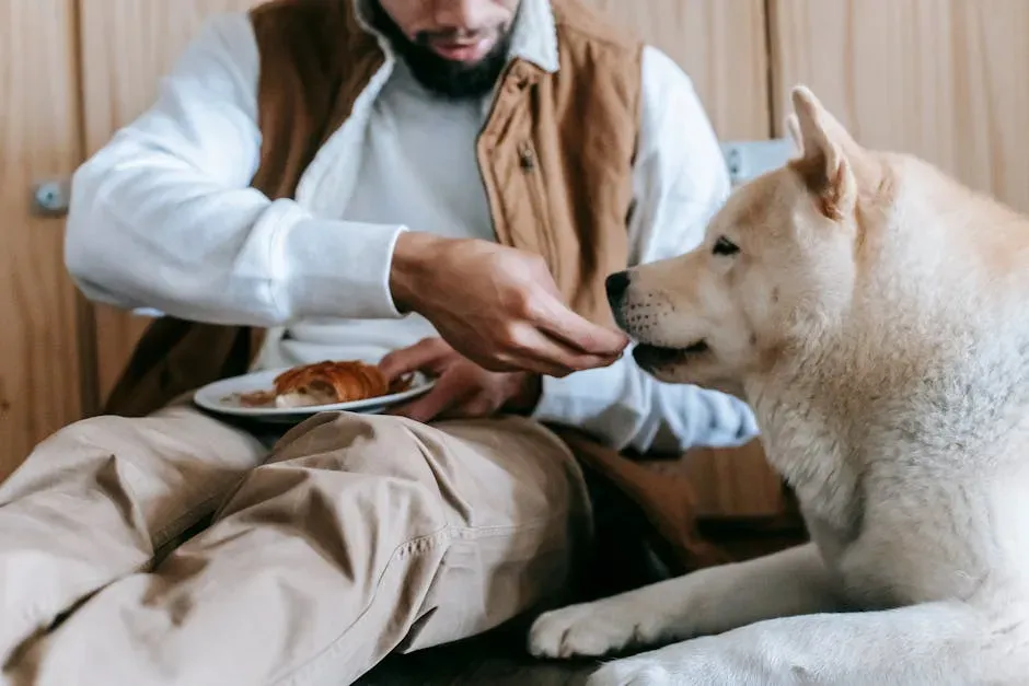 They Eat Comfortably and Accept Treats in Your Presence (Image Credits: Pexels)