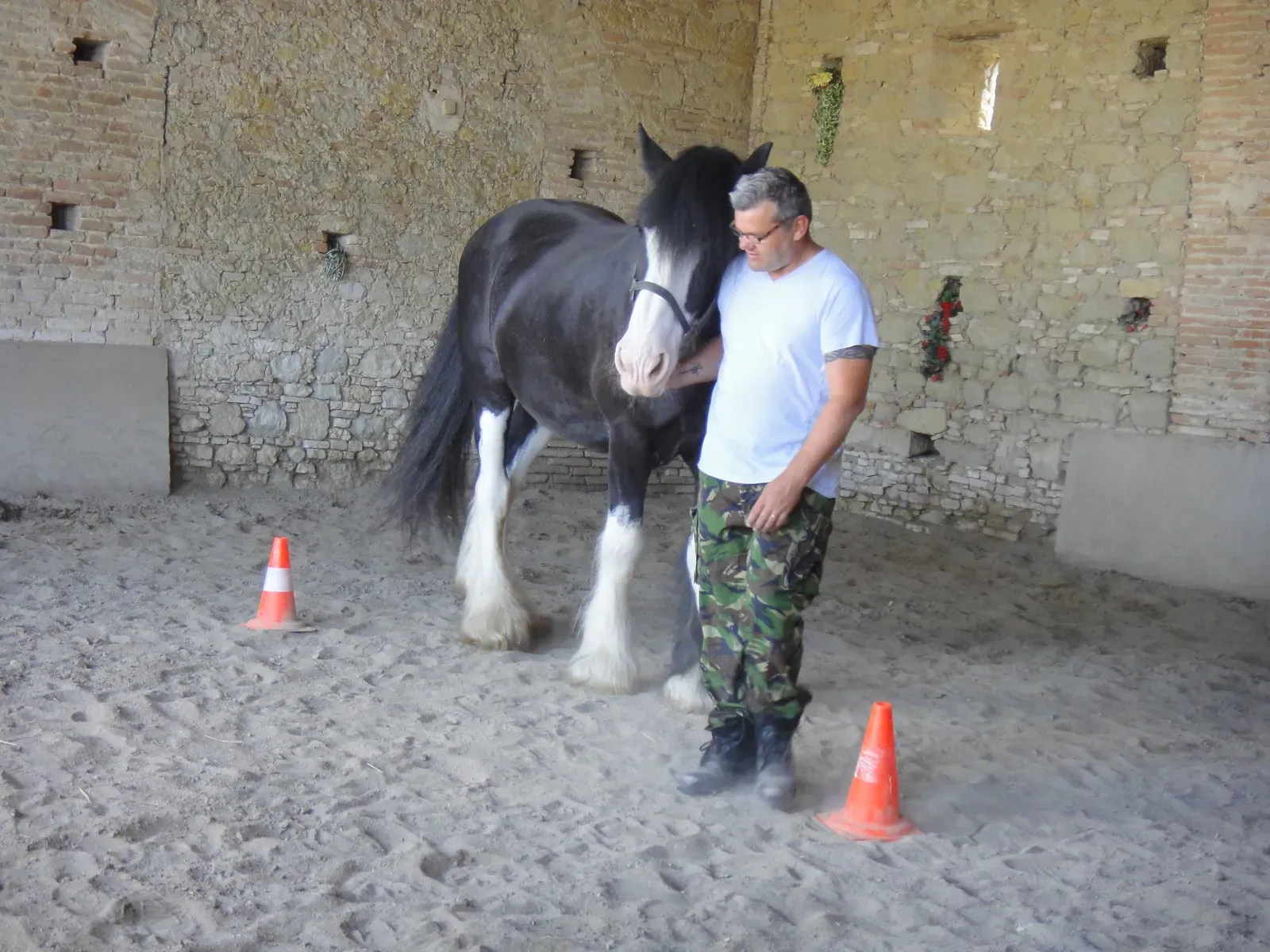 Aggressive Behavior and Social Withdrawal (Image Credits: Wikimedia)