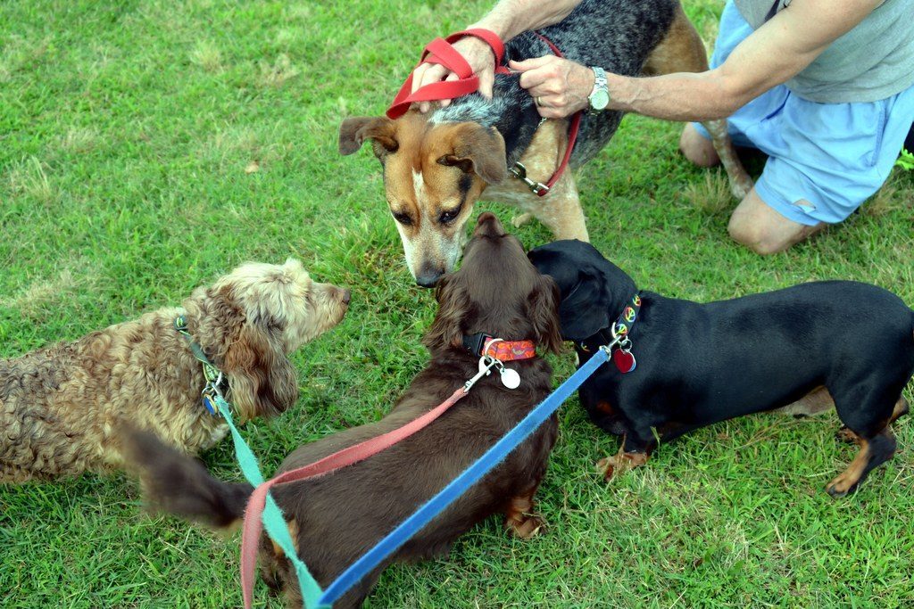 Building Confidence Through Positive Experiences (Image Credits: Flickr)