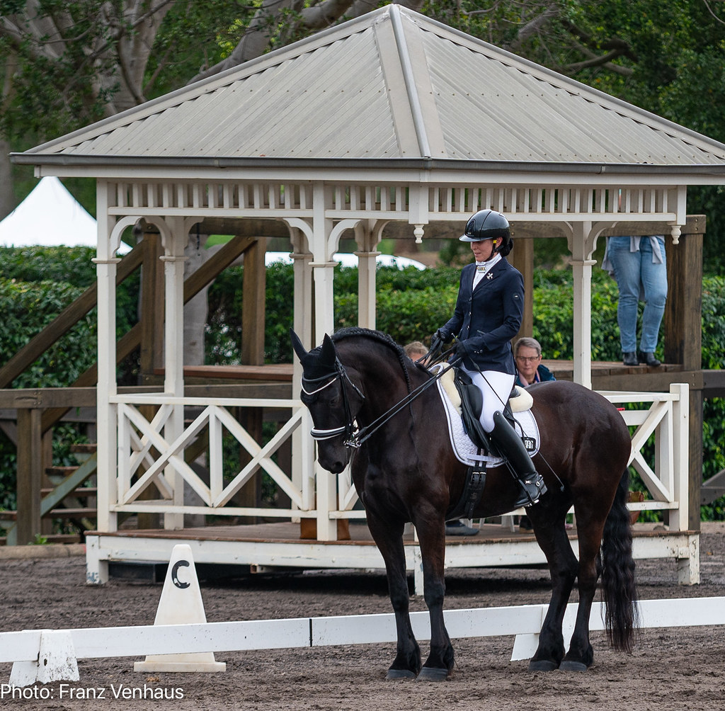 They're Investment-Level Expensive (Image Credits: Flickr)