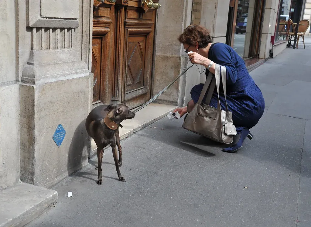 The Evolutionary Pull Toward Entry Points (emilio labrador, Flickr, CC BY 2.0)