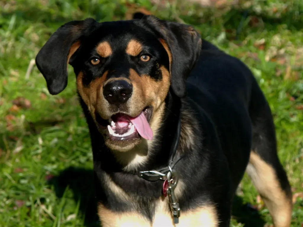 Daily Life and Practical Considerations (Image Credits: Flickr)